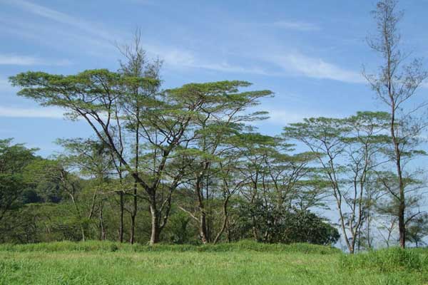 Best stay options near Kurisumala Dairy Farm