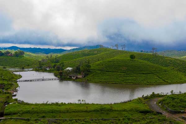 Vagamon Lake - Serene Nature, Boating, and Scenic Views